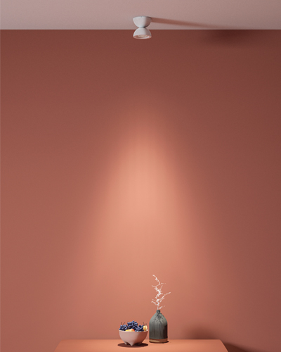 Dodot|Wall and Ceiling