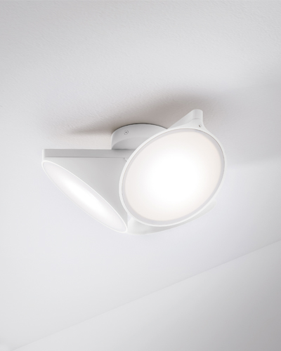 Orchid|Triple ceiling